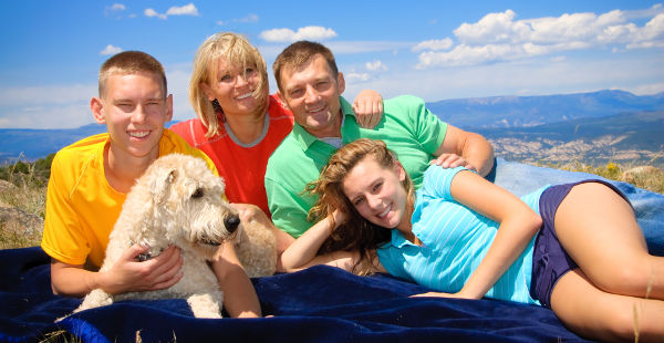 Dog-friendly holiday accommodation